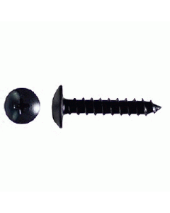 Install Bay PTH101 Phillips Truss Head Screw - #10 x 1 in - Box of 500